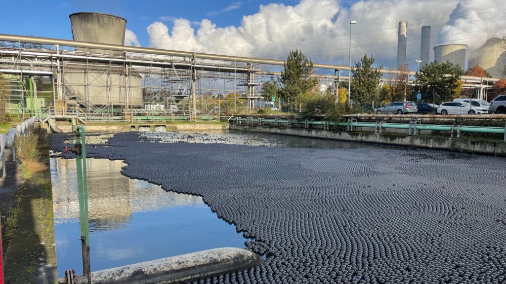 Schwimmende Bird Balls™ Abdeckkugeln auf der Wasseroberfläche eines offenen Wasserteichs, verhindern effektiv das Eindringen von Vögeln und Algenwachstum, reduzieren die Verdunstung und verbessern die Wasserqualität.