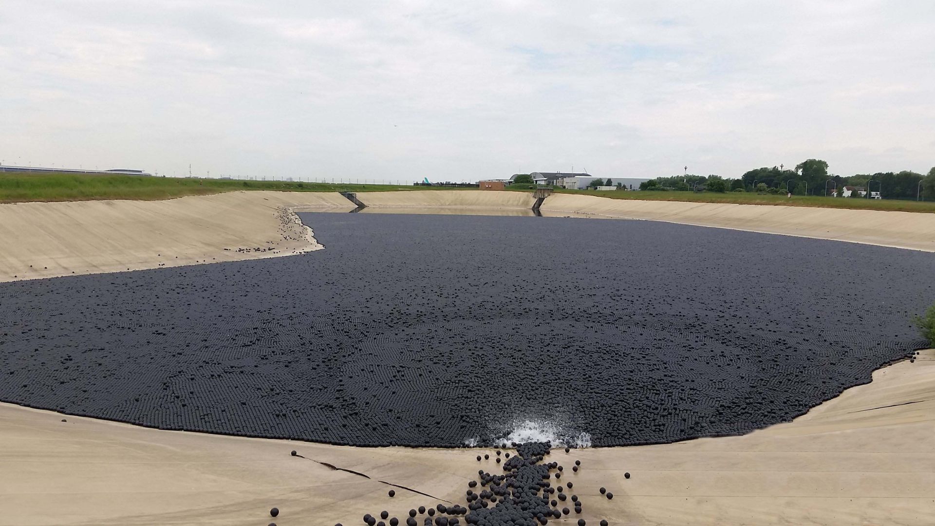 Einsatz der Bird Balls in einem Löschwasserteich am Flughafen Brüssel